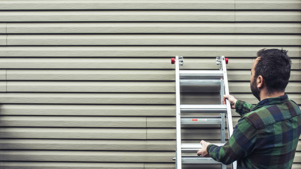 Best Residential Vinyl Siding Installation  in Mcdonough, GA