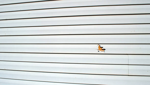 Best Brick Veneer Siding  in Mcdonough, GA